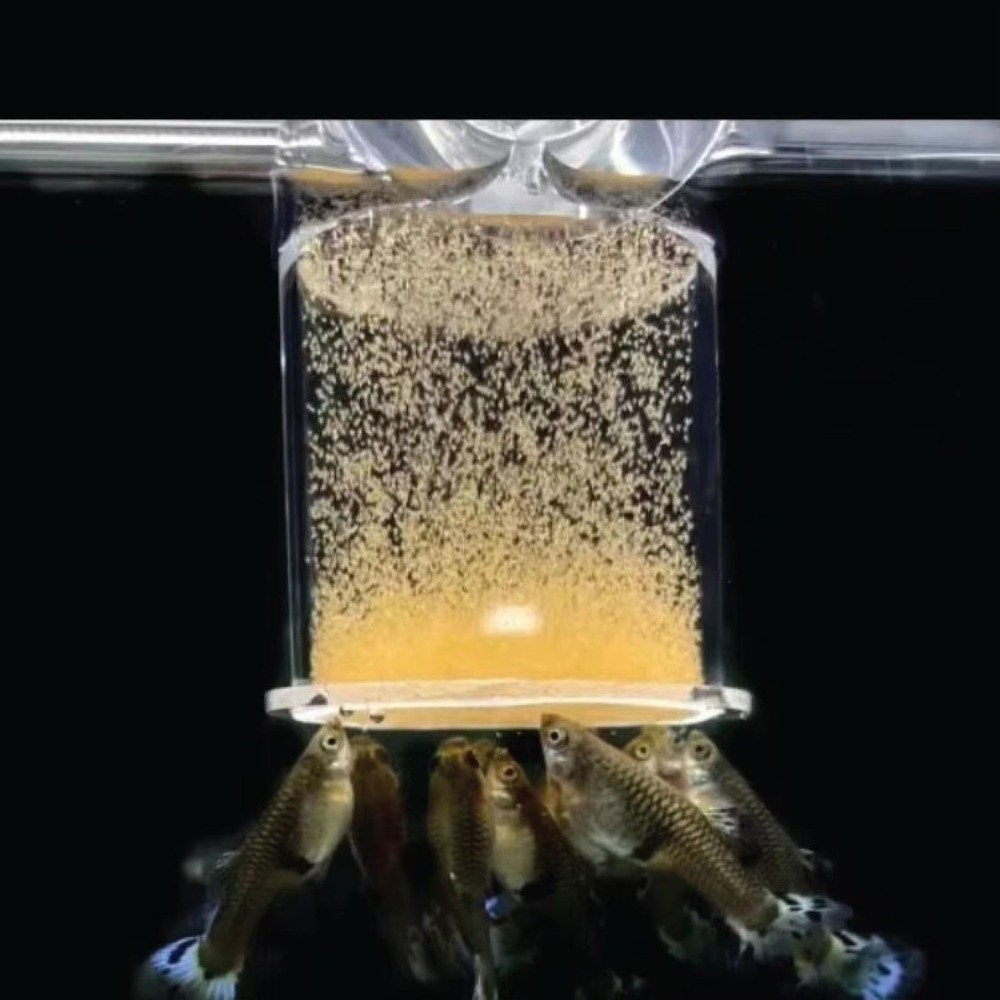 Acrylic Brine Shrimp Feeder Fi - огляд і ціна Seaweed Snack