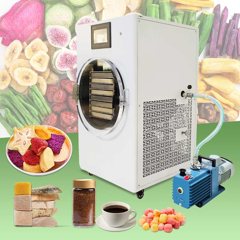 Small Freeze Mini Liofilizador - огляд і ціна Dried Fruit