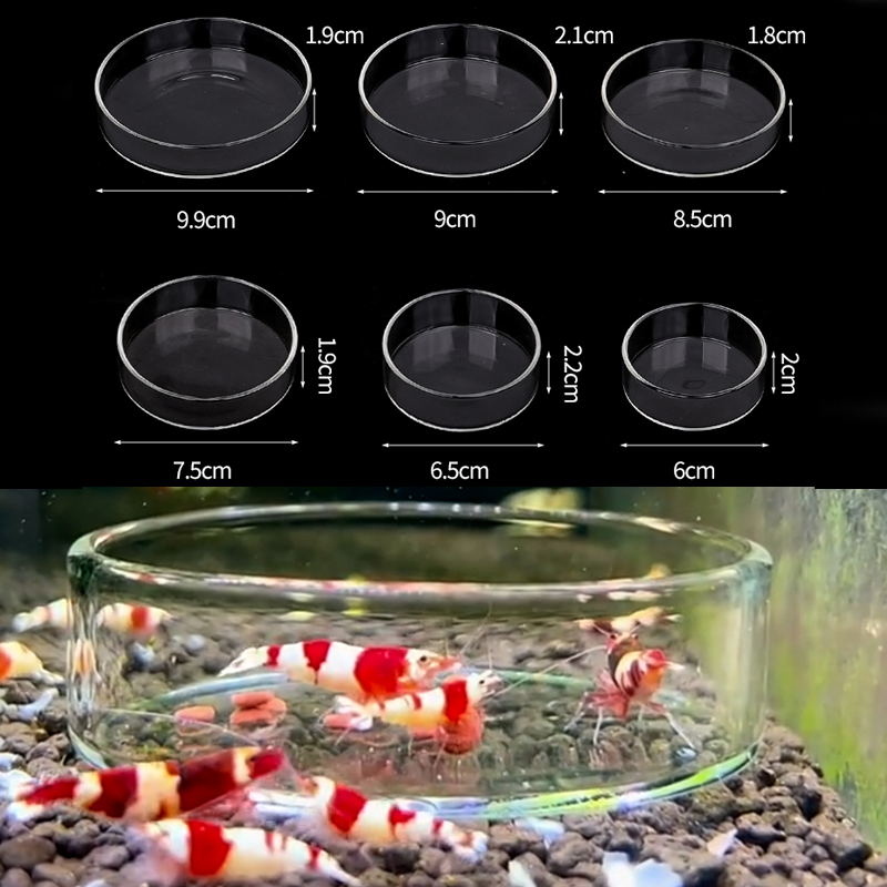 Shrimp Feeding Dish High Trans - огляд і ціна Seaweed Snack