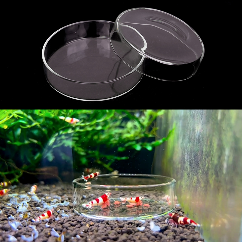 Shrimp Feeding Dish High Trans - огляд і ціна Seaweed Snack